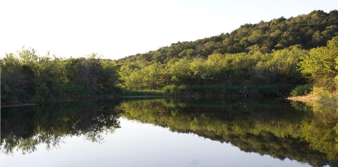 Cedar Ridge Preserve